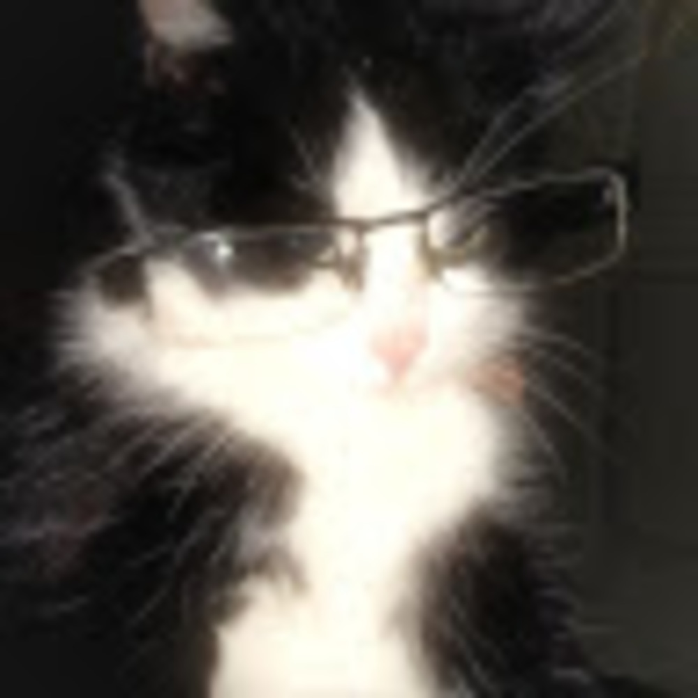 Meet your Posher, Joy